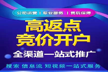 百度竞价排名实战：关键词优化与数据分析案例